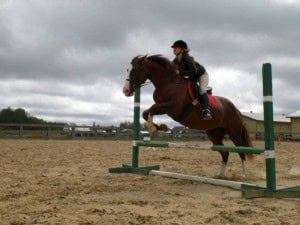 chloe_my_pet_horse_by_MQSdwz35