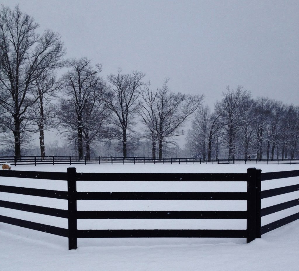Buckley-Fence-LLC-Steel-Black-Fence-Horse-Ring-Snow-PA