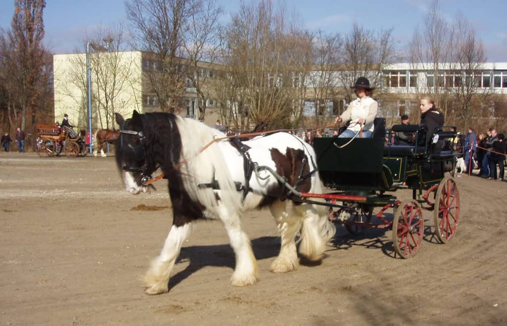 London Cart Horse