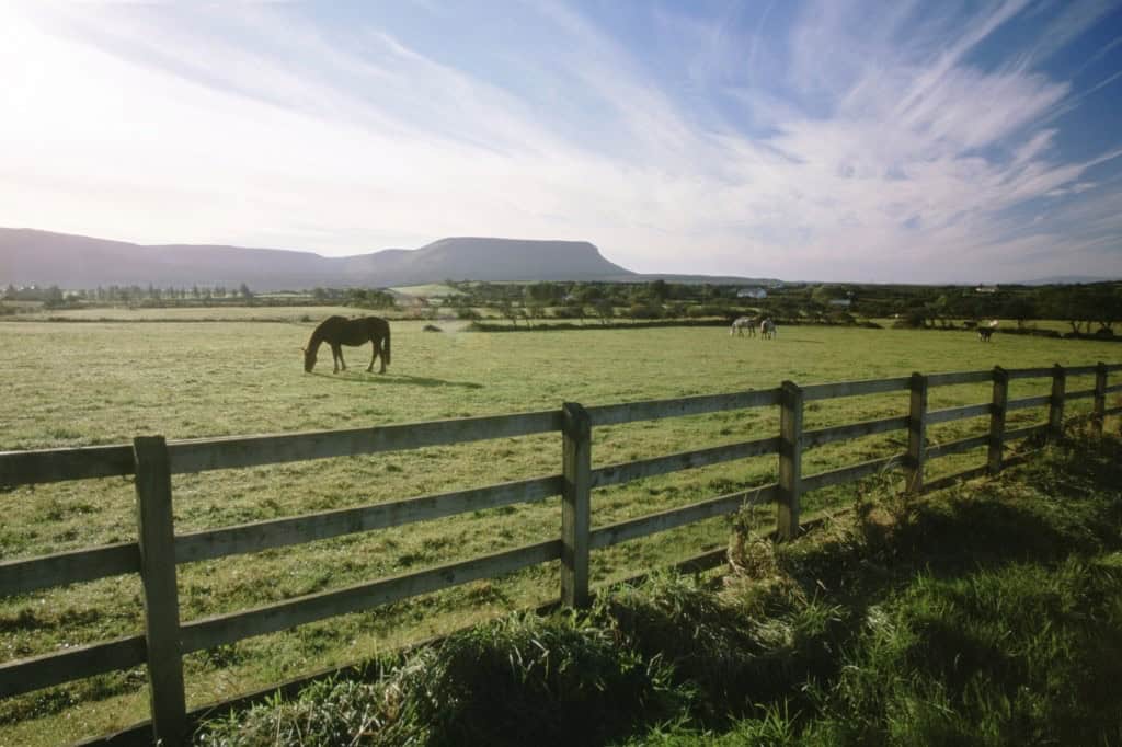 02B71993 Tips for Adding Fencing to Your Already Functioning Farm