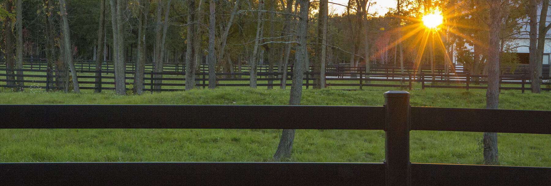 Horse Fence, Steel Board Horse Fencing & More From Buckley Fence LLC.