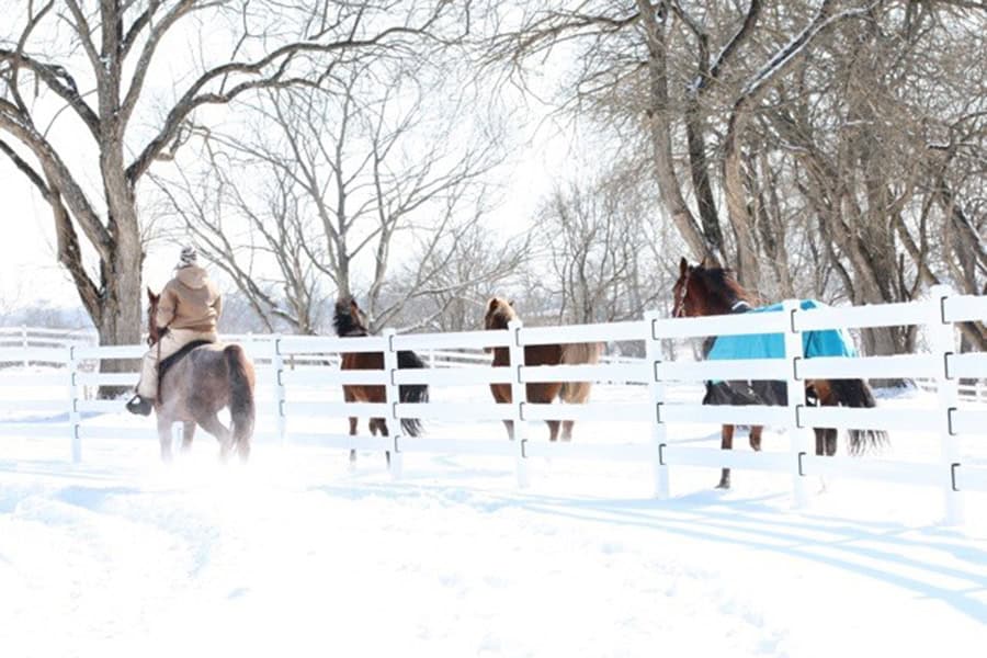 White 4-Rail Fence