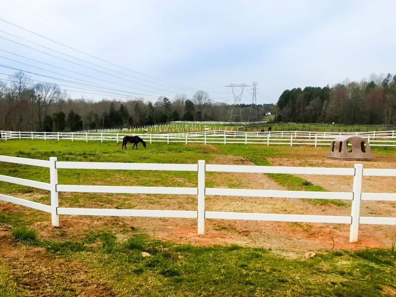 Horse Fence, Steel Board Horse Fencing & More From Buckley Fence LLC.