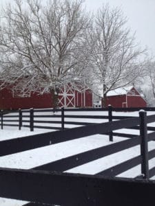Black 4-Rail Fence in Snow