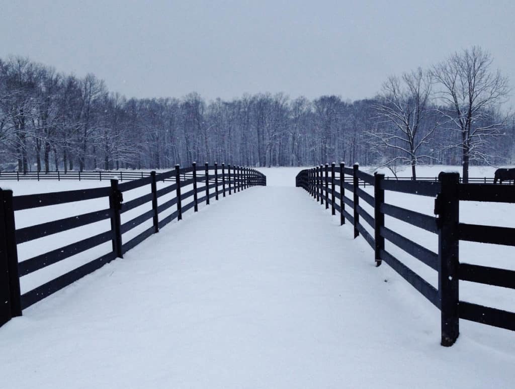 Four-Rail Fence Black