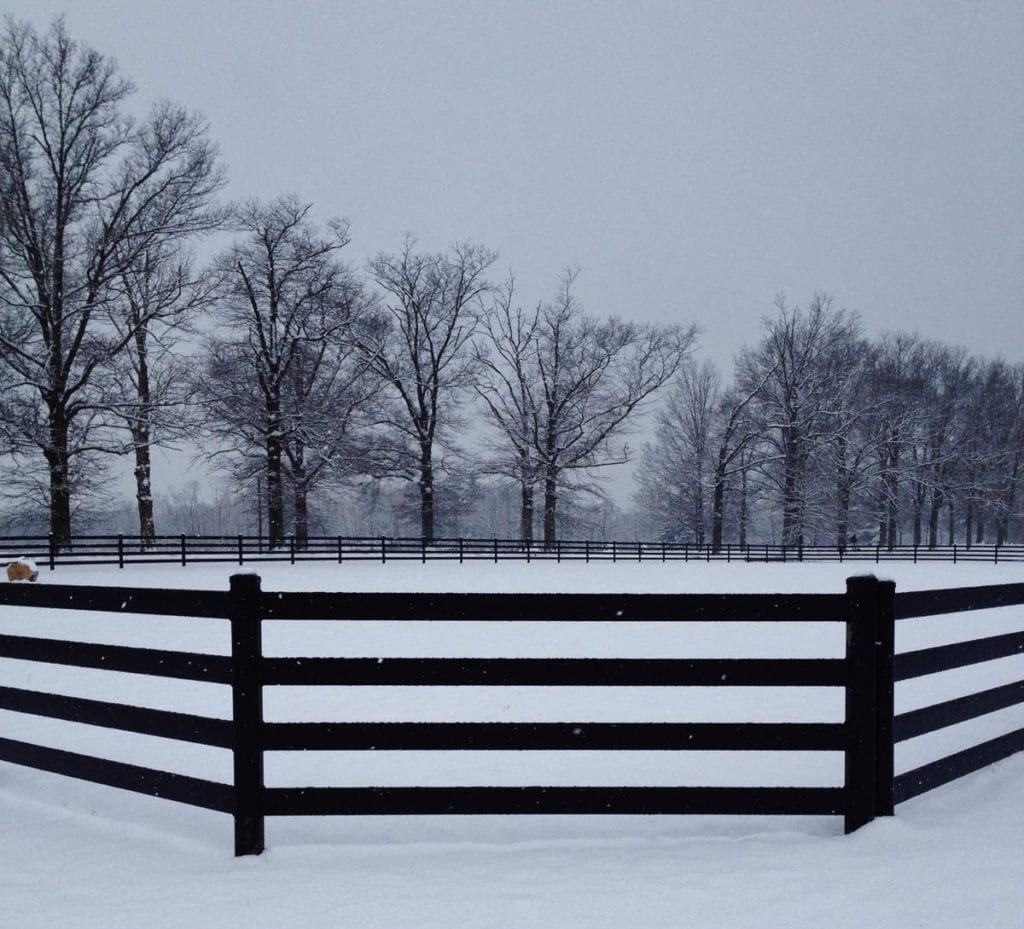 Black Four-Rail Fence